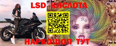 винт Будённовск