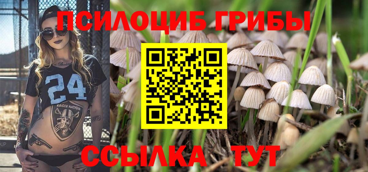 Галлюциногенные грибы MAGIC MUSHROOMS Конаково